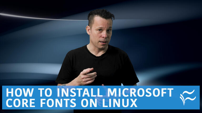 install ms fonts linux mint